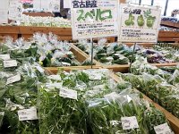 20200718 111501200  ＪＡおきなわ 宮古地区本部宮古地区営農センターあたらす市場